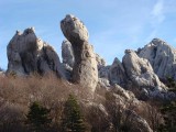 07. kukovi